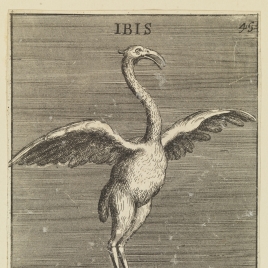 Estatua de Ibis