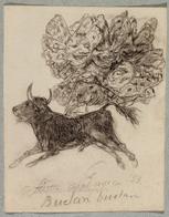 Toro mariposa, El [Goya]