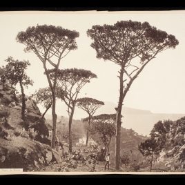 Imagen de la obra