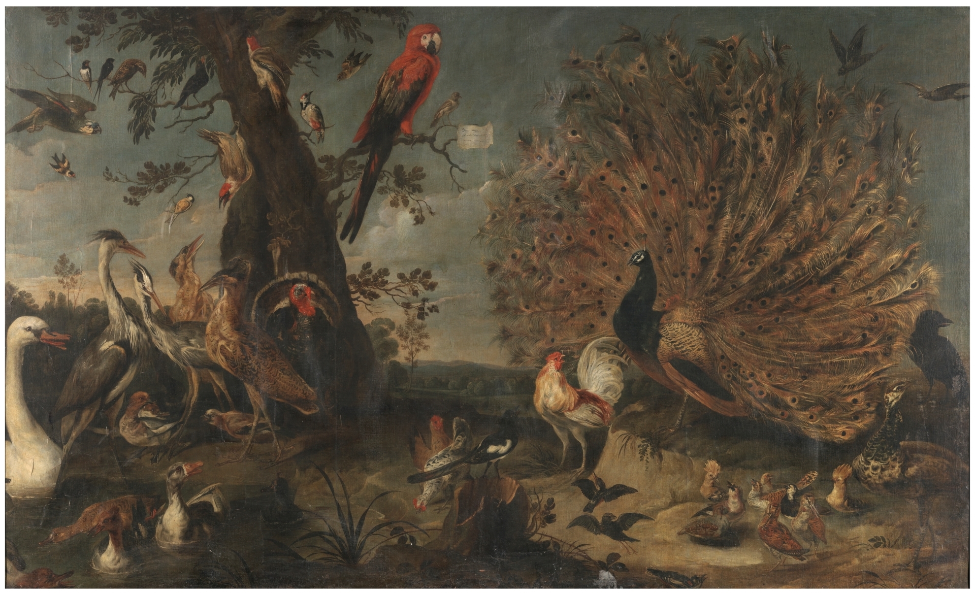 LFYT × PRADO MUSEUM Concert of the Birds Concert of Birds - The Collection - Museo Nacional del Prado