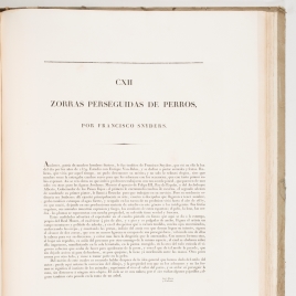 Imagen del carrusel