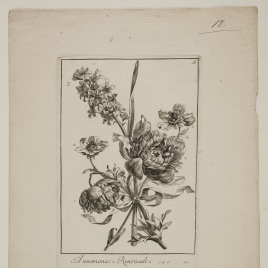 Imagen de la obra