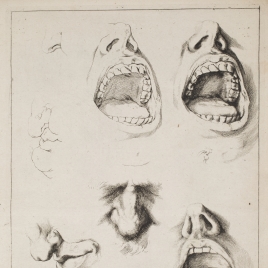 Imagen de la obra