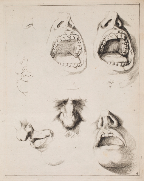 Imagen de la obra: "Estudios de nariz y boca"