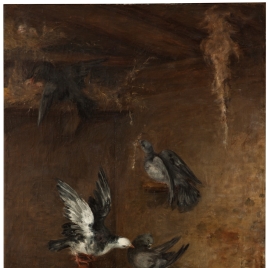 Imagen de la obra