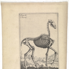 Imagen de la obra