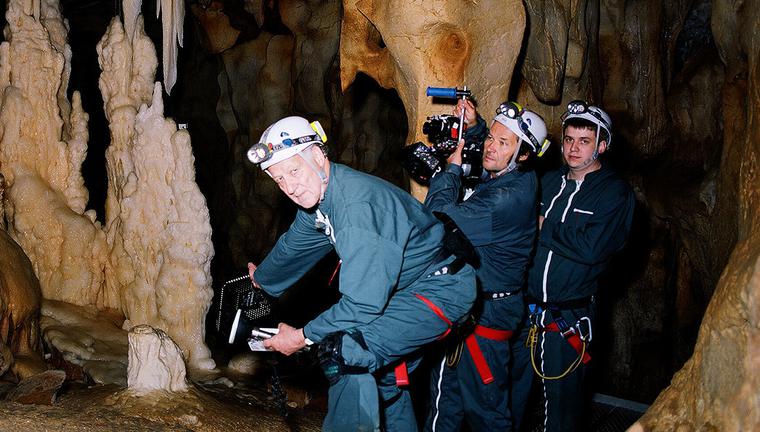 La cueva de los sueños olvidados