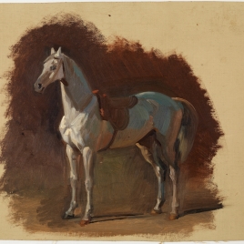 Estudio de un caballo