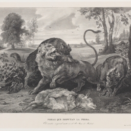 Imagen de la obra