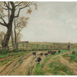 La Pavera