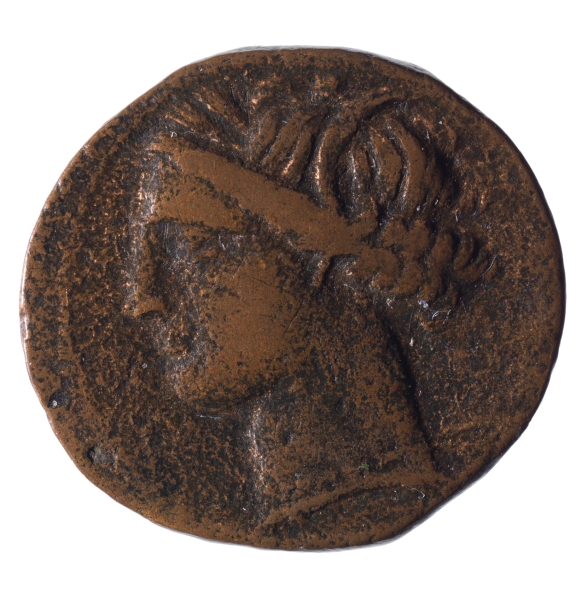 Imagen de la obra: "Cabeza de Ceres / Caballo de caballo"