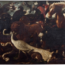 Animales camino del arca