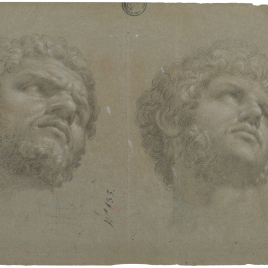 Male heads