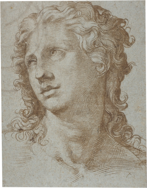 Imagen de la obra: "Cabeza masculina"