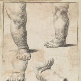 Imagen de la obra