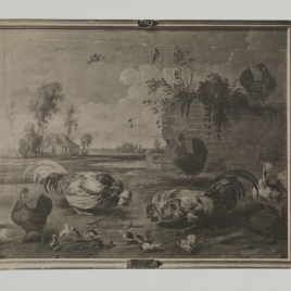 Lucha de gallos