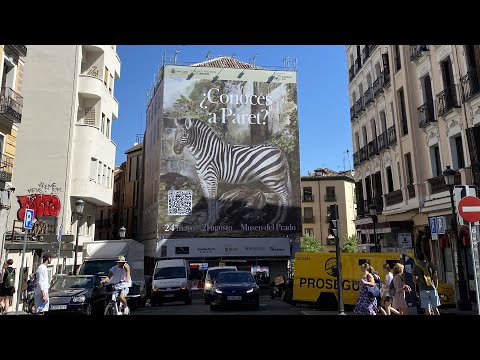 El Museo Nacional del Prado saca a la calle la Cebra de Paret