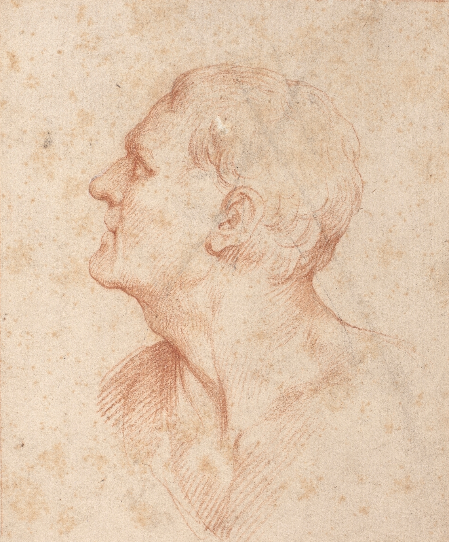 Arpino, Caballero de. Giuseppe Cesari