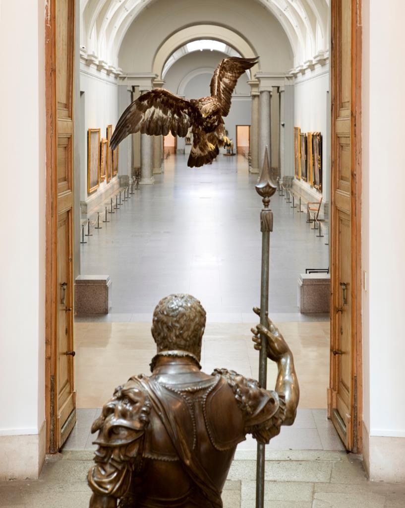 El Museo del Prado presenta la exposición Historias Naturales. Un proyecto de Miguel Ángel Blanco