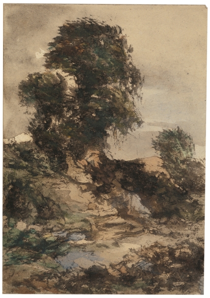 Imagen de la obra: "Paisaje (árbol)"