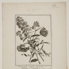 Imagen de la obra