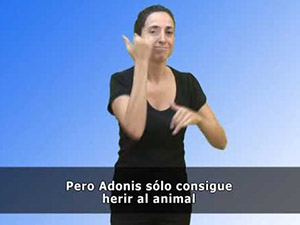 Venus y Adonis, Veronés