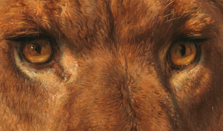 Exposición. La mirada del otro.
