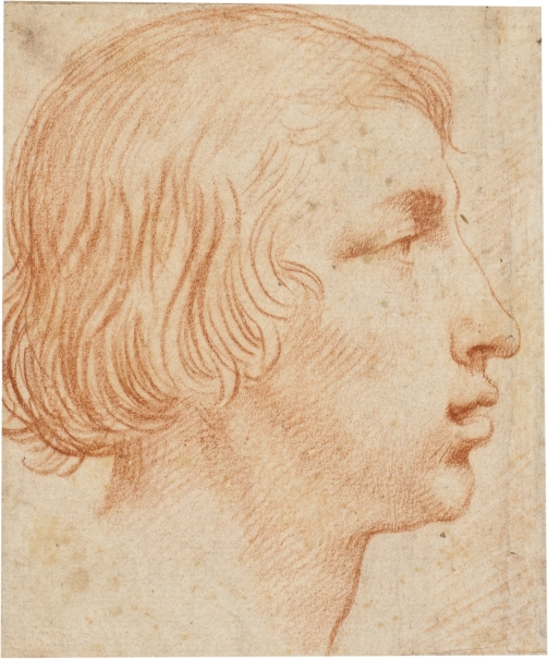 Imagen de la obra: "Cabeza de joven de perfil hacia la derecha"