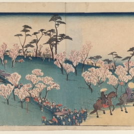 Fiesta de contemplación de los cerezos en flor en Asukayama (Asukayama hanami)