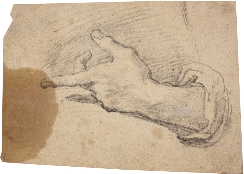 Imagen de la obra: "Estudio de brazo y mano izquierda"
