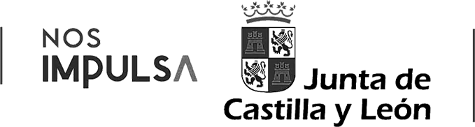 Junta de Castilla y León