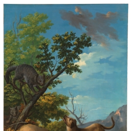 Perro y gatos