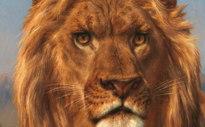 Imagen de la exposici&oacute;n La mirada del otro