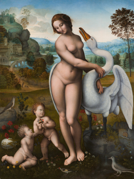 Leda