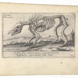 Imagen de la obra