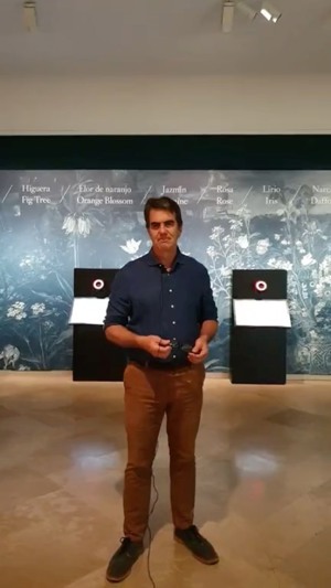 Video de instagram