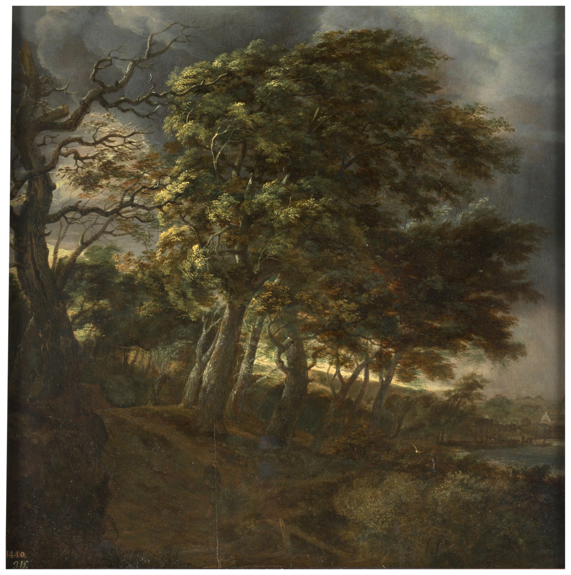 Forest - The Collection - Museo Nacional del Prado