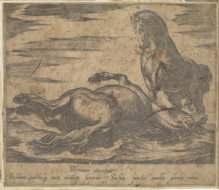 Imagen de la obra: "Caballo pateando a otro en el suelo"