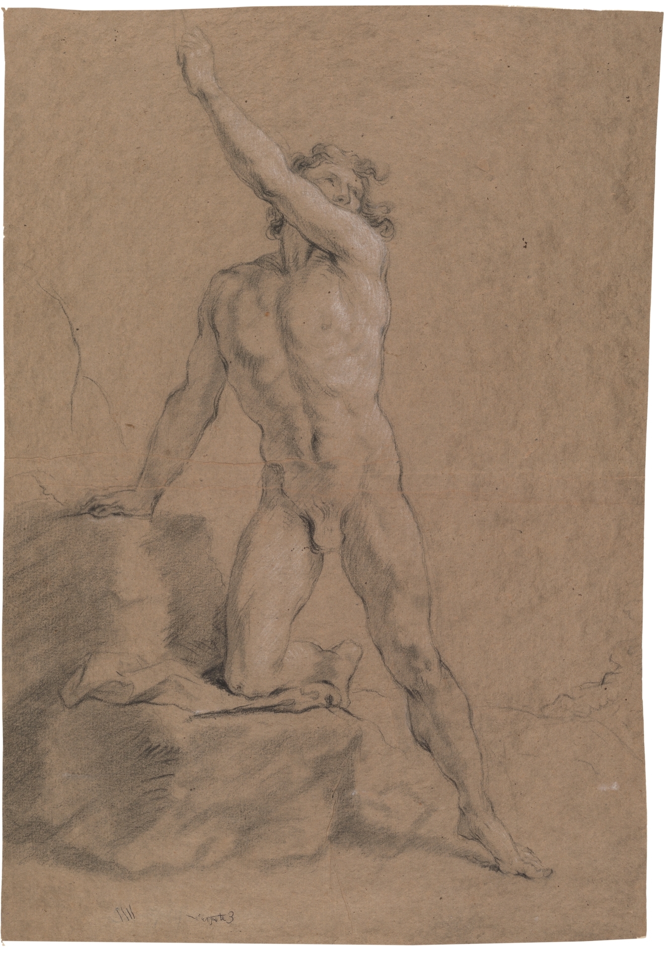 Male nude figure study - The Collection - Museo Nacional del Prado