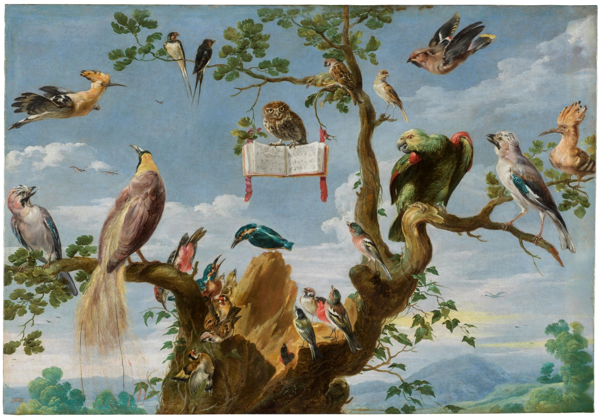 Concert of Birds - The Collection - Museo Nacional del Prado