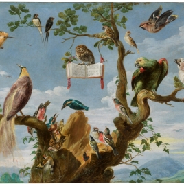 Concert of Birds - The Collection - Museo Nacional del Prado