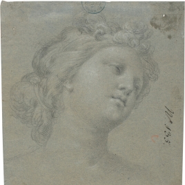 Female Head