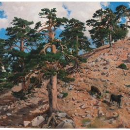 En los altos de Fuenfría (Sierra de Guadarrama)