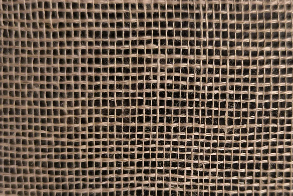 Captura del software Aracne