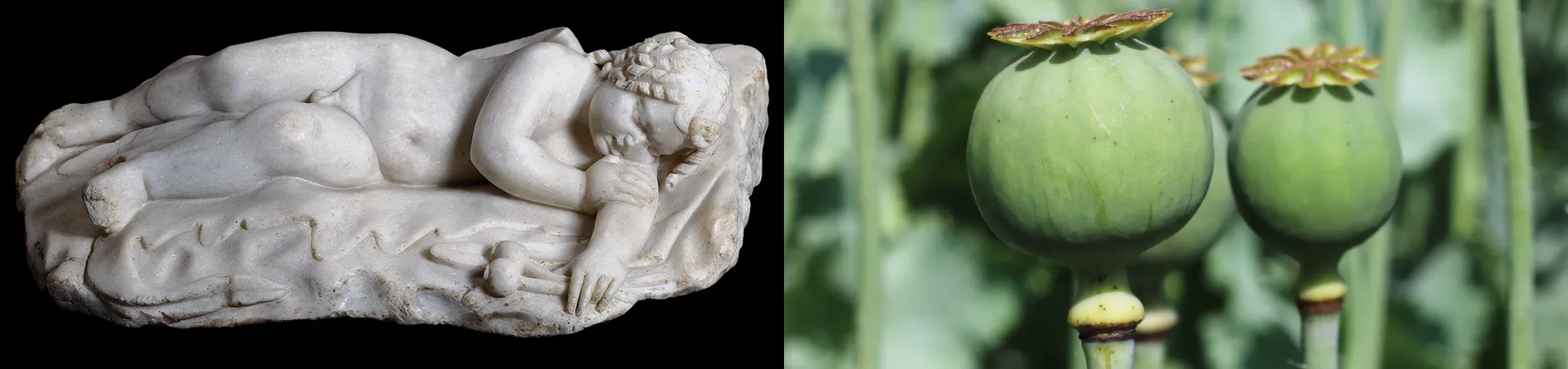Imagen de Eros dormido o Hypnos