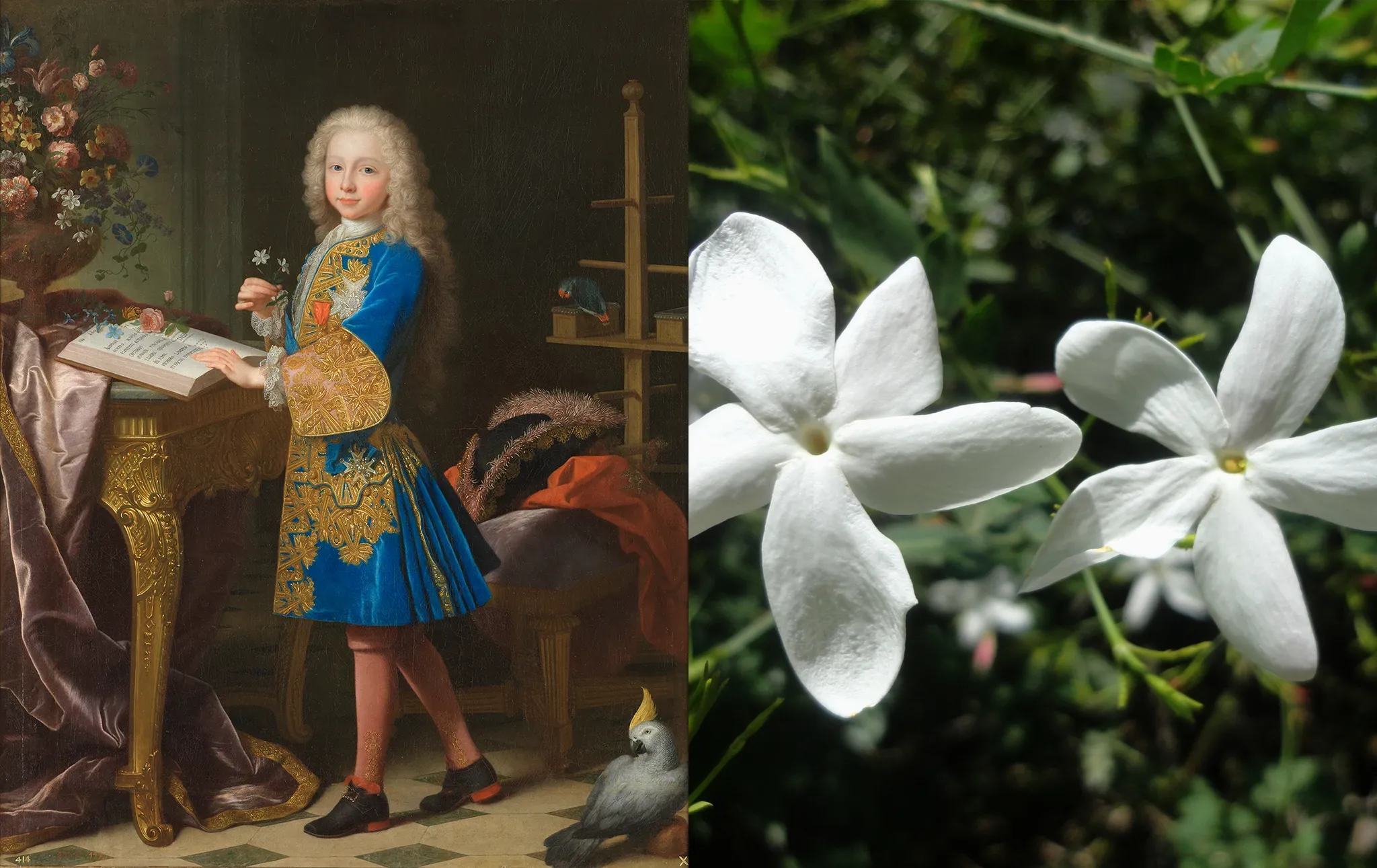Imagen de Carlos III, niño, en su gabinete