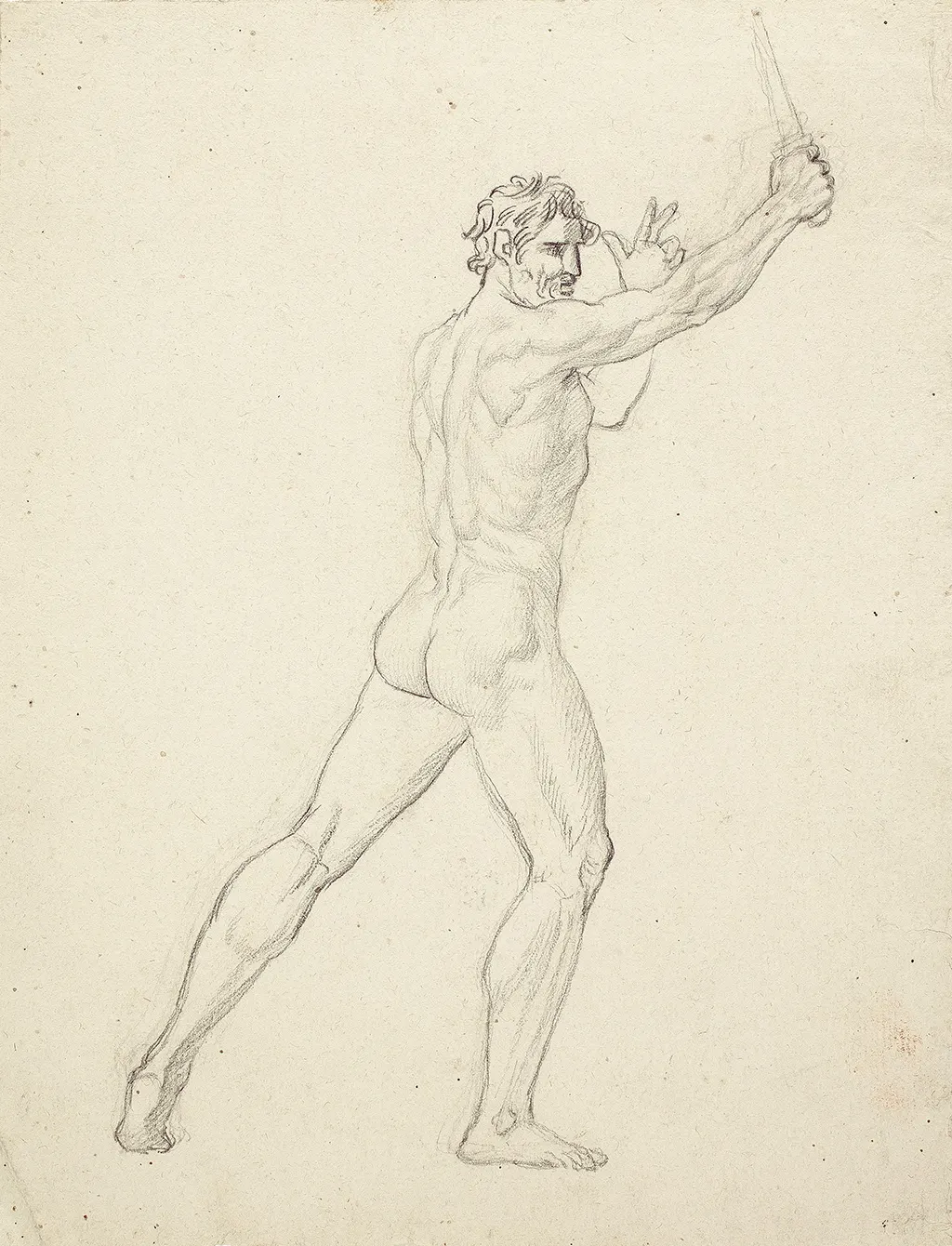 Imagen de Estudio de desnudo masculino de perfil con un puñal en alto para La muerte de Viriato