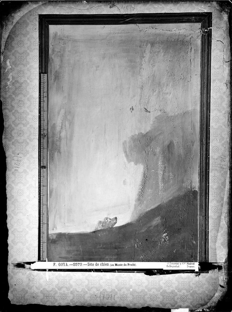 Imagen de J. Laurent y C&iacute;a. <em>Perro semihundido</em> de Goya