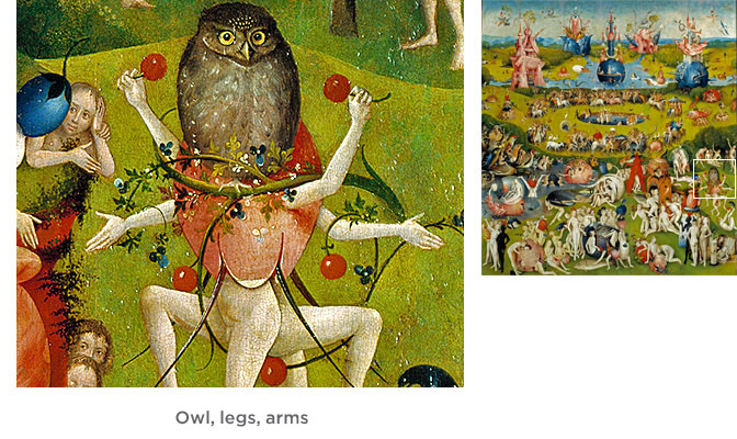 Owl, legs, arms