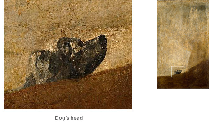 Dog’s head